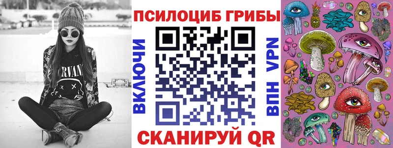 Псилоцибиновые грибы Psilocybine cubensis  закладки  Белоусово 